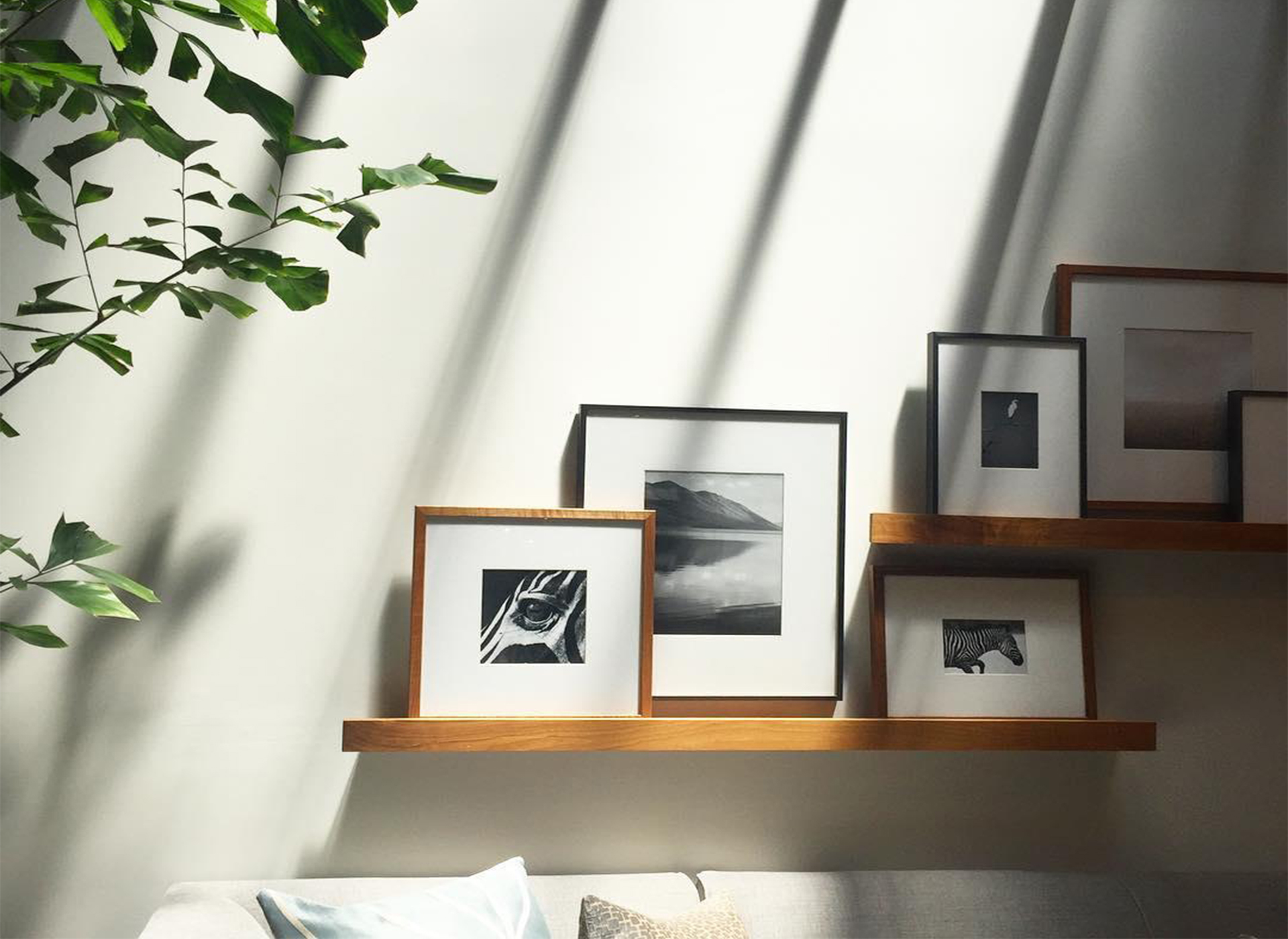 Float walls shelves