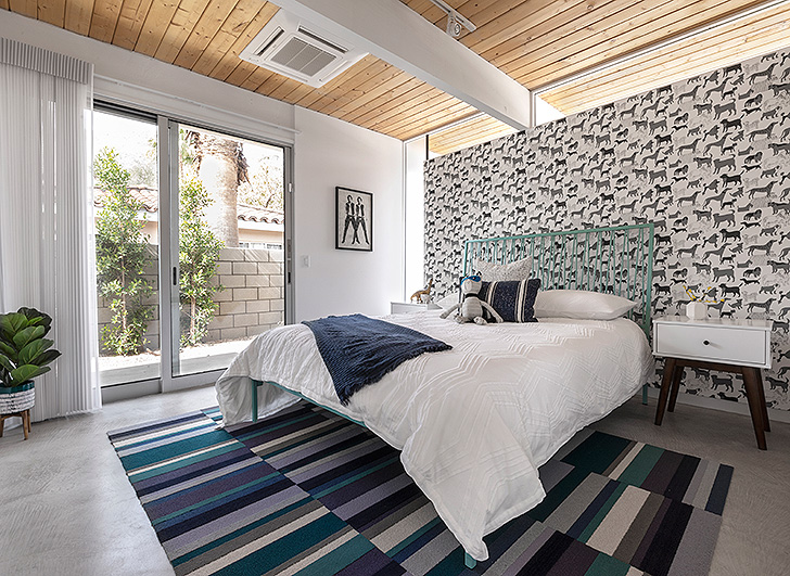 Colorful kids bedroom with steel frame and dog pattern wallpaer